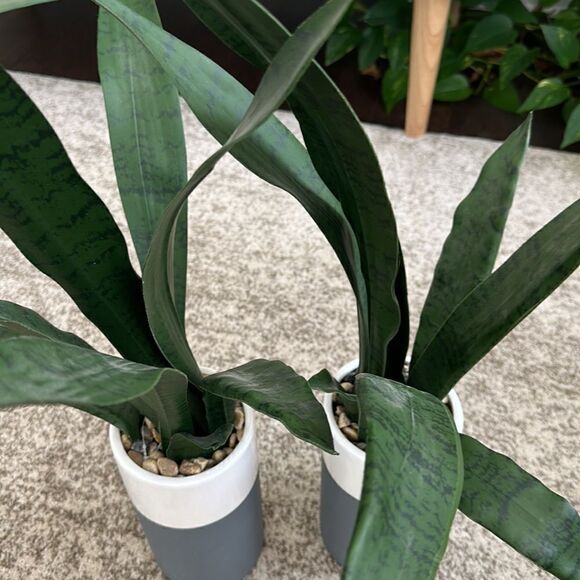 Homegoods 2 Faux Snake Plant Vases - Picture 3 of 4